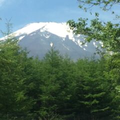 ”日本一の金運神社”