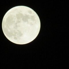 『ハンターズムーン』・満月